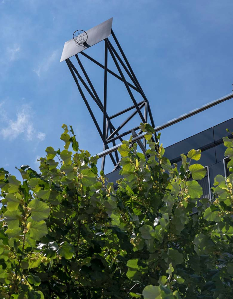 Eine Basketballkorbwand ist auf dem Dach eines hohen Hauses montiert und ragt in den blauen Sommerhimmel. Sie ist weit höher oben angebracht als die Zweige und Blätter eines grünen Laubbaumes, der vor dem Haus steht.