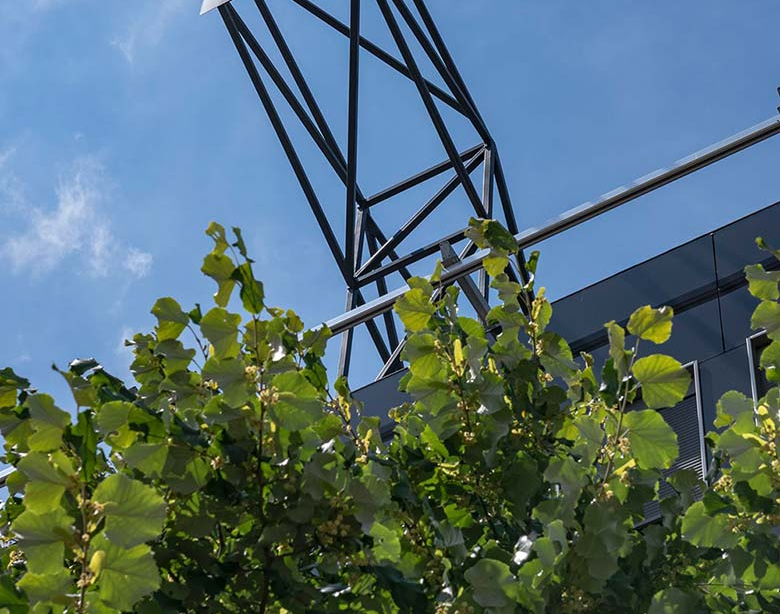 A basketball backboard is mounted on the roof of a tall building, jutting into the blue summer sky. It is set far higher than the branches and leaves of a green deciduous tree that stands in front of the house.