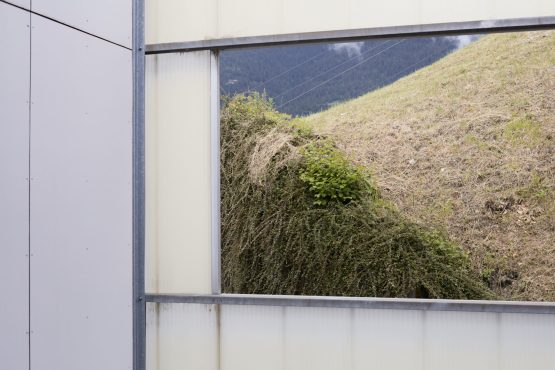 Image section of the view of a billboard on a prefab building with the motif of a dried-up meadow and bushes in a hilly landscape