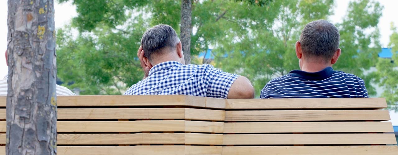 Two middle-aged men sitting on a wooden bench together, photographed from behind. Trees can be seen in the foreground and background.