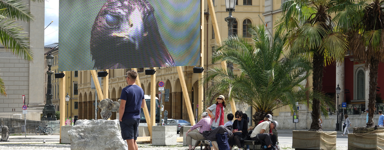 A video showing an eagle's head can be seen on a large screen at Max-Joseph-Platz. On the square, people sit in the shade of palm trees.