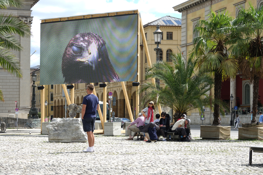 A video showing an eagle's head can be seen on a large screen at Max-Joseph-Platz. On the square, people sit in the shade of palm trees.