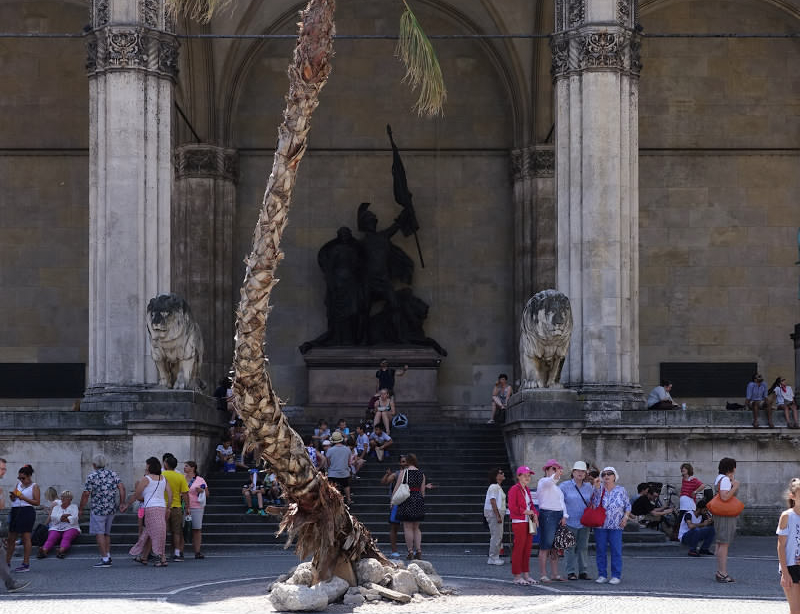 On the Odeonsplatz, directly in front of the Feldherrnhalle, a 12 meter high palm tree appears to be growing straight out of the pavement.