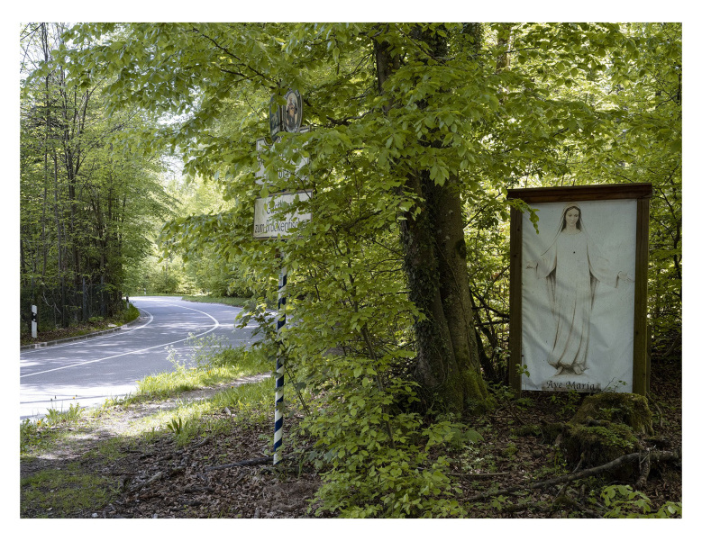 Eine Teerstraße führt durch Laubwald. An der Seite steht ein Marienbild.