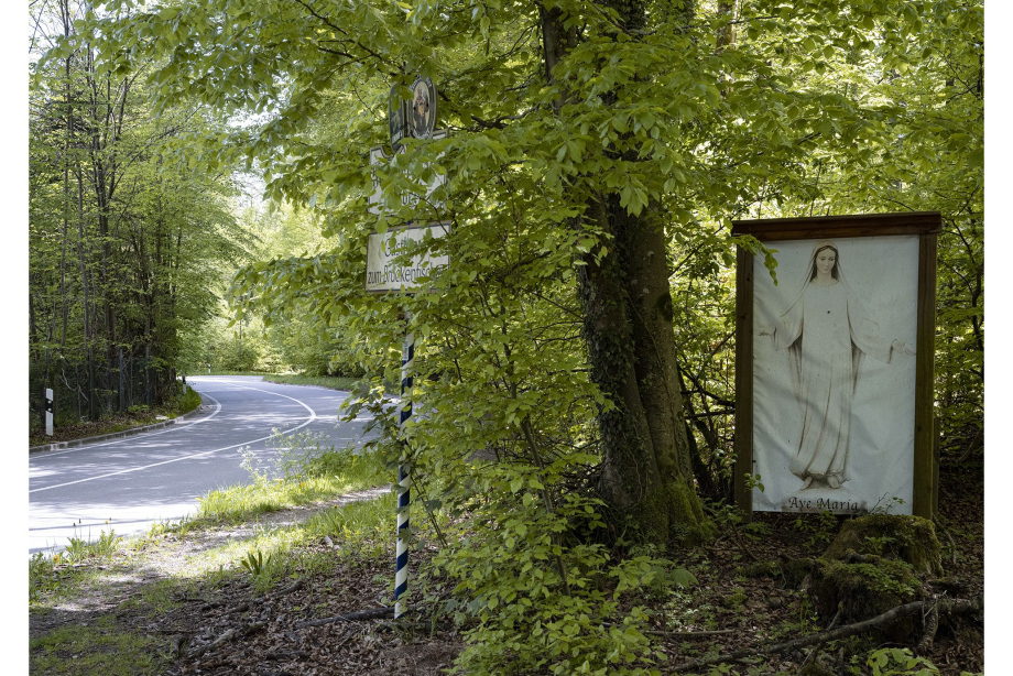 Eine Teerstraße führt durch Laubwald. An der Seite steht ein Marienbild.