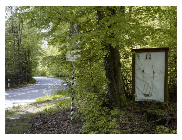 A tar road leads through deciduous forest. On the side is a picture of Mary.