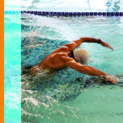 Ein Schwimmer beim Kraulstil im Schwimmbecken Olympiaschwimmhalle