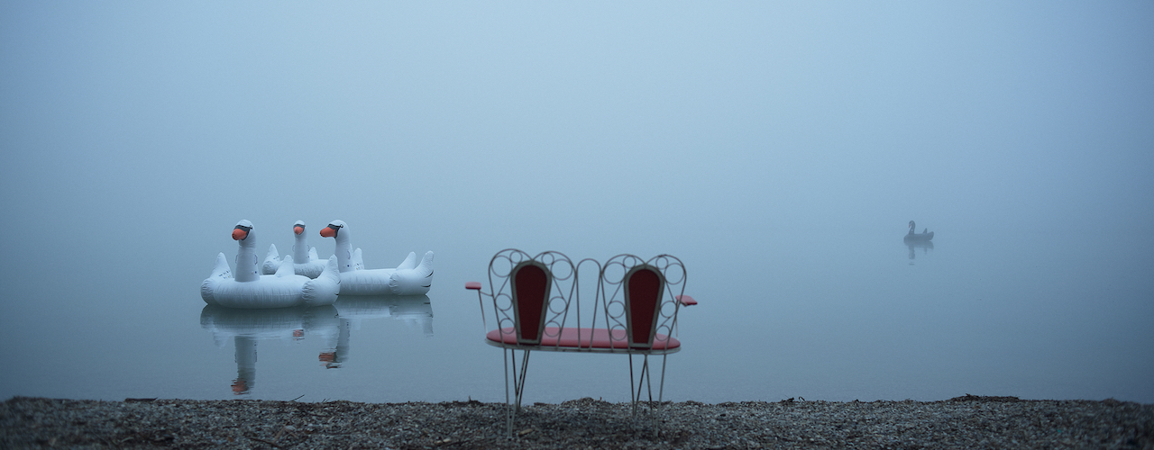 A small metal bench with red seats stands on the bank of a lake. Four inflatable rubber swans are floating on the mist covered lake.