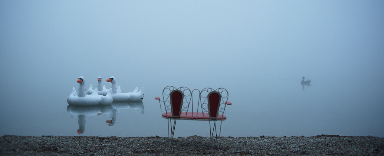 Eine kleine metallene Sitzbank mit roter Polsterung steht an einem Seeufer. Auf dem vom Nebel verhangenen See schwimmen vier aufblasbare Gummischwäne.