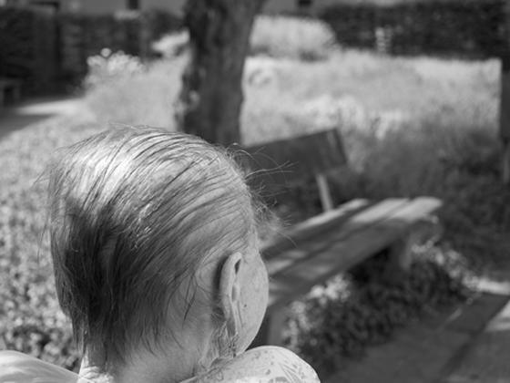 In the foreground, the head of a seated old lady is seen from behind. In the background, a bench, a meadow and a tree.