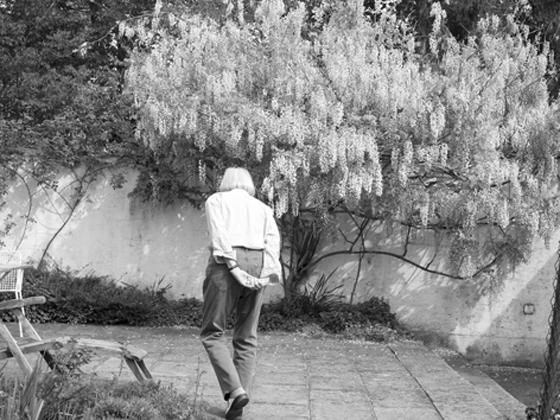 Back view of an old lady walking, her hands clasped behind her back. The surroundings are a courtyard with a flowering wisteria.