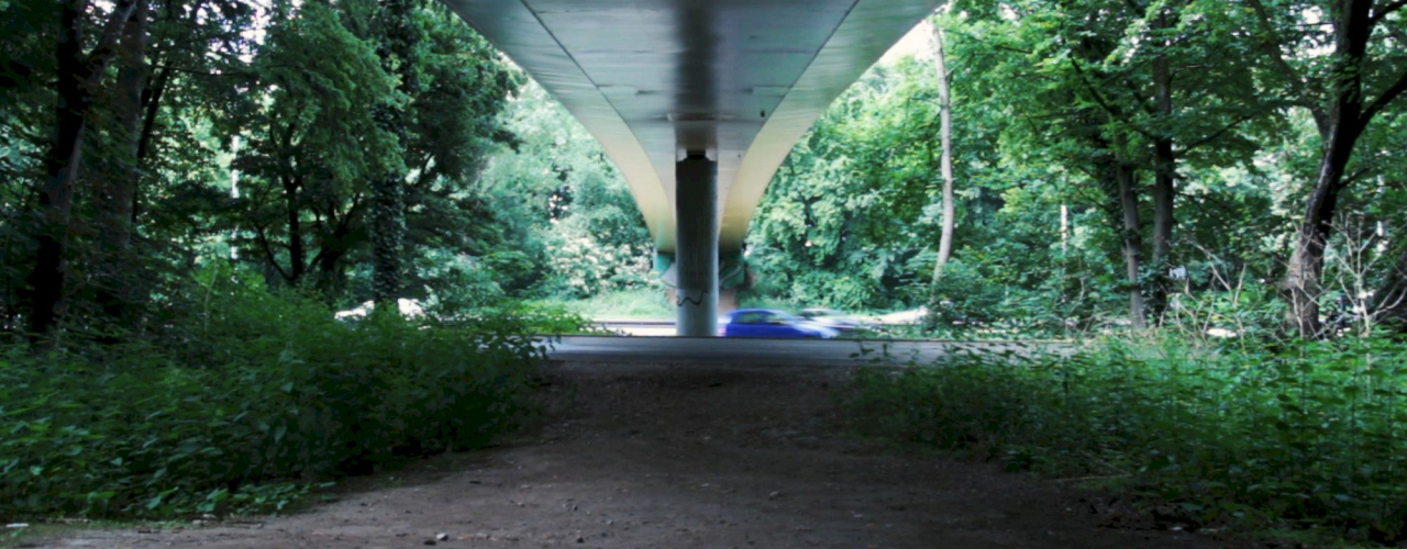 Screenshot of the video "Hors Champ". Overgrown place with undergrowth and trees under a bridge overlooking a motorway with passing cars.