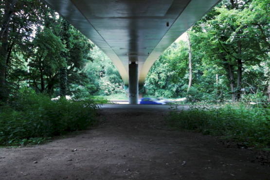 Screenshot of the video "Hors Champ". Overgrown place with undergrowth and trees under a bridge overlooking a motorway with passing cars.