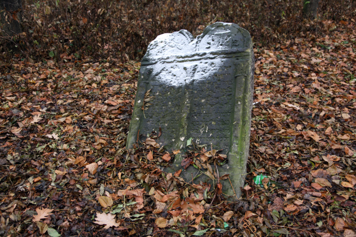 A toppled Jewish gravestone protruding from a leaf-covered ground at the Jewish cemetery in Piaski/Poland.