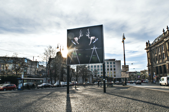 Ansicht des Billboards am Lenbachplatz Richtung stadteinwärts mit dem Motiv "Homo Alpinus" von Stefano Giuriati. Das Motiv auf schwarzem Hintergrund zeigt gespiegelt das gleiche Bild des Künstlers Stefano Giuriati in Ringertrikot mit einem Hirschgeweih auf dem Kopf auf einer Leiter stehend. Es wirkt, als würde dieser in einen Kampf mit sich selbst treten.