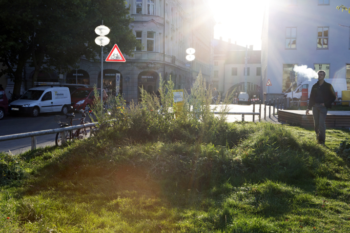 Photograph of part of an installation by artist Martin Schmidt. The artist has modelled a crater landscape on an approx. 7 m wide strip of grass on the northern edge of the Marienhof using heaped up and excavated earth. The photograph shows one of these craters, which is overgrown with grass and wild plants. The artist is standing next to the crater, with Dienerstrasse in Munich city centre in the background.