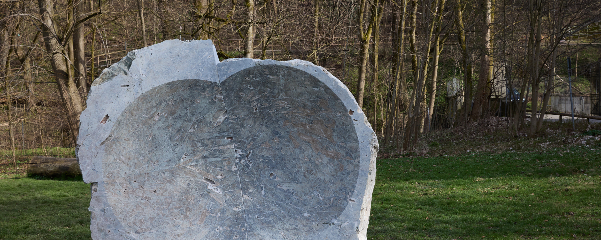 A large grayish stone with a concave hollow stands on a grassy area, with many trees in the background