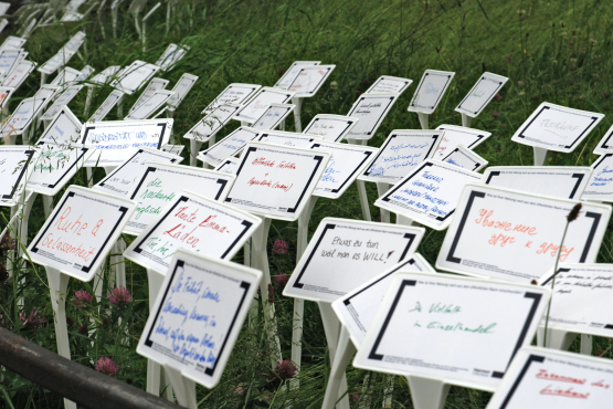 Photograph of a meadow in the courtyard garden with many white signs stuck into it. Words and sentences are written on the signs in different colours.