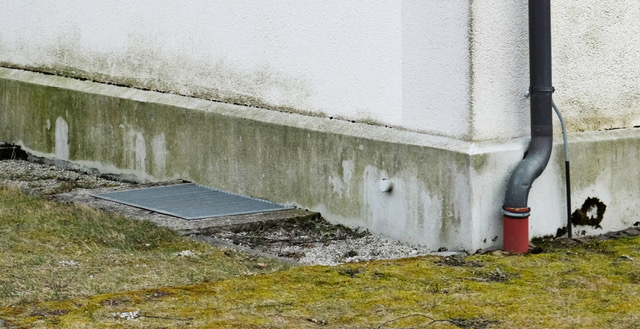 Hauswand mit feuchten Flecken und Schimmel am Sockel, daneben ein Fallrohr und eine Rasenfläche.