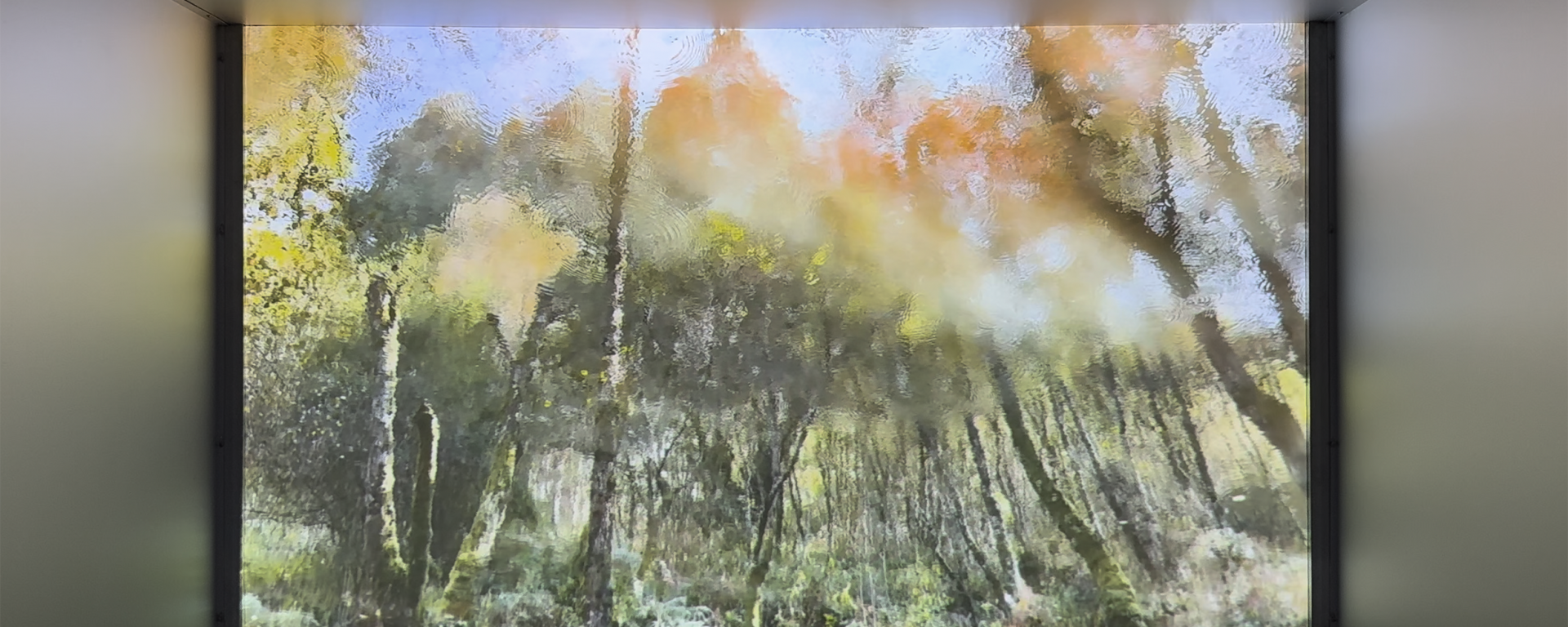 Aufnahme einer Videoprojektion auf Leinwand in einem Ausstellungsraum. Die Videoprojektion zeigt einen Wald, gesehen durch eine bewegte Wasseroberfläche. Die Baumstämme und das Laub erscheinen wellenförmig verzerrt, während Sonnenlicht durch die Kronen scheint.