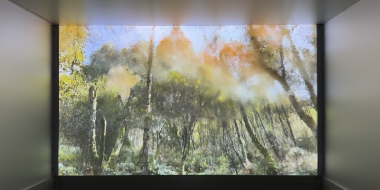 A video projection on a screen in an exhibition space. The video projection shows a forest as seen through a rippling water surface. The tree trunks and foliage appear distorted by the waves, while sunlight shines through the treetops.